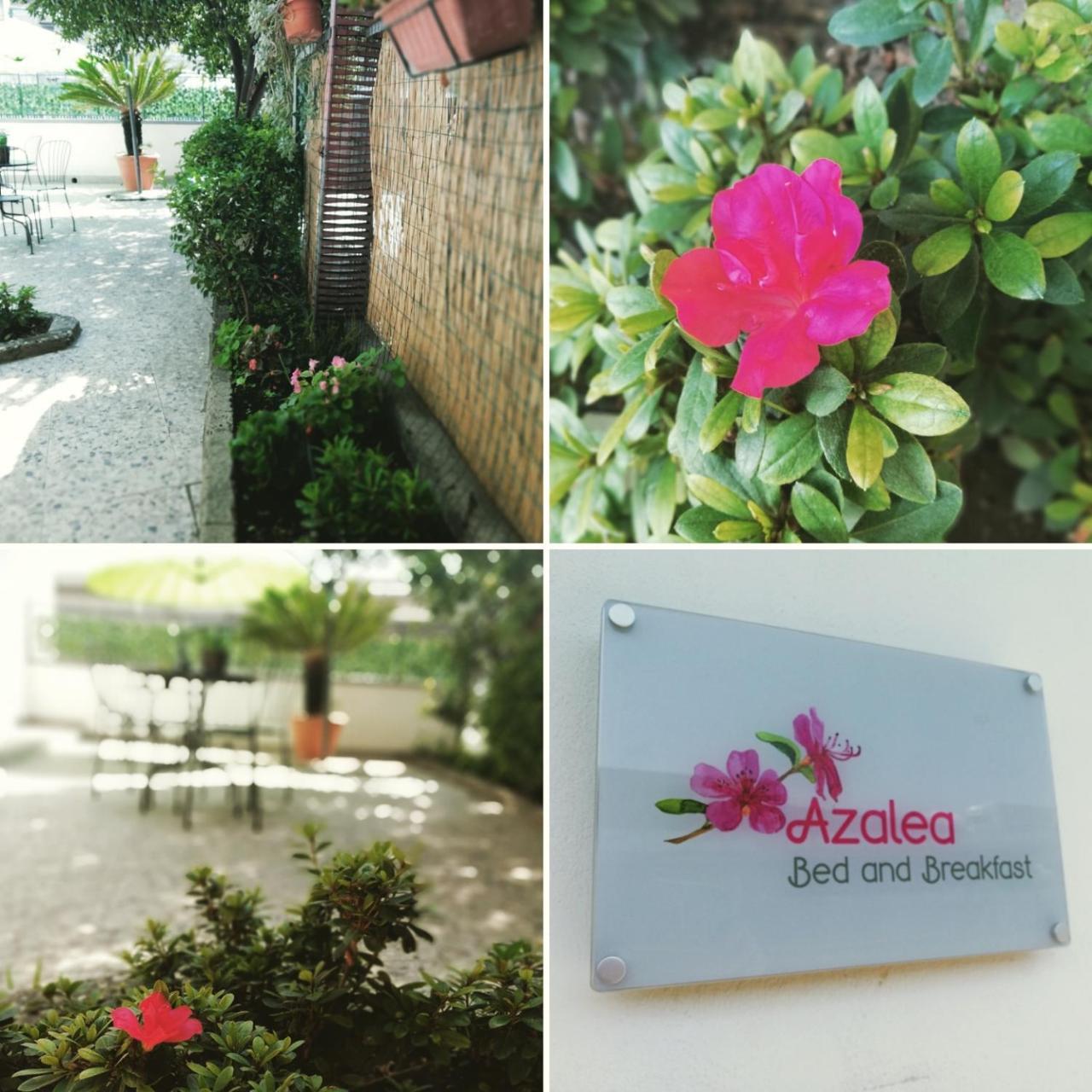 Azalea B&B Naples Luaran gambar