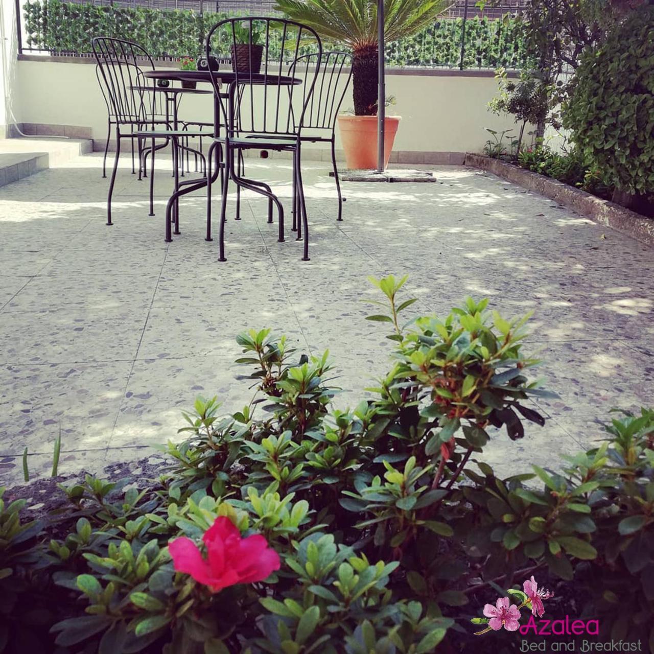 Azalea B&B Naples Luaran gambar