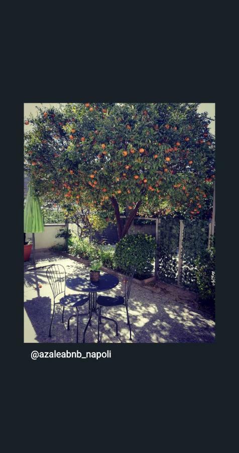 Azalea B&B Naples Luaran gambar