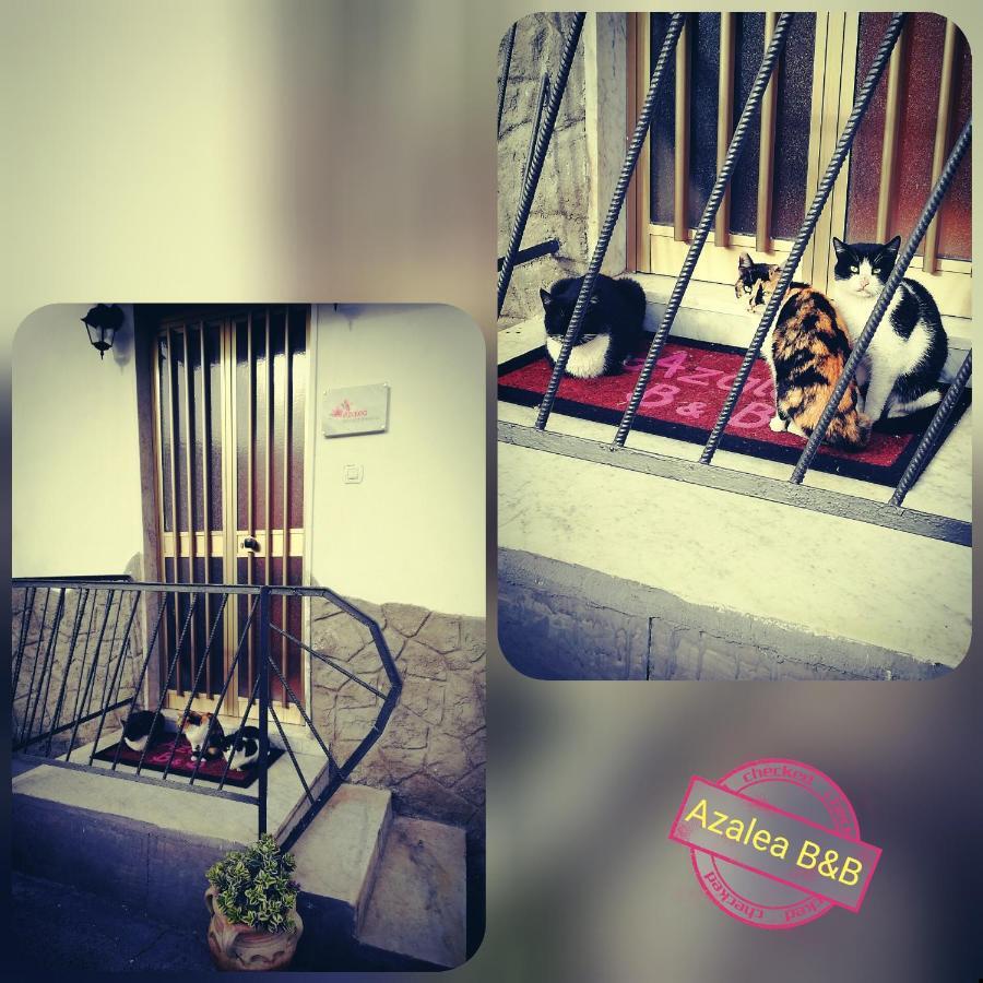 Azalea B&B Naples Luaran gambar